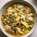 DECONSTRUCTED WONTON SOUP