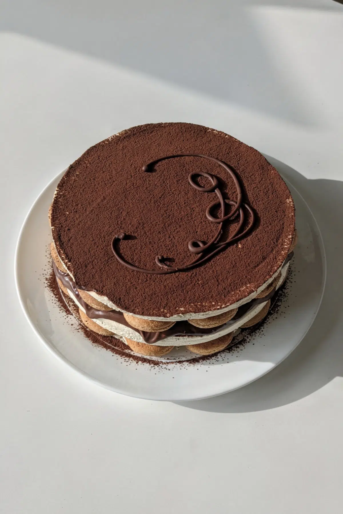 Nutella Tiramisu Cake